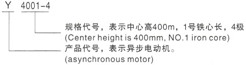 西安泰富西玛Y系列(H355-1000)高压YE2-160M2-2三相异步电机型号说明