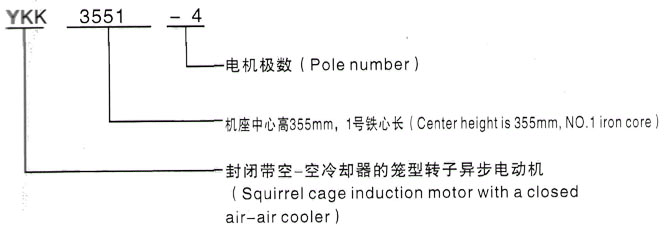 YKK系列(H355-1000)高压YE2-160M2-2三相异步电机西安泰富西玛电机型号说明